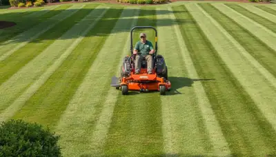 Commercial mower creating precise lawn stripes in Wilmington, NC by Chop Chop Landscaping